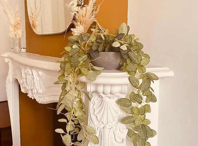 De Maitre T3 80m2 En Plein Centre. Appartamento *